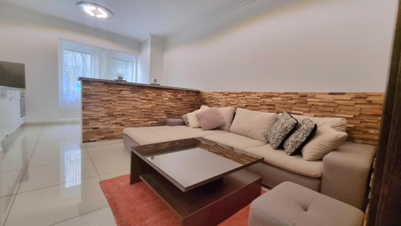 Apartman Spacious In Center